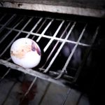 Contrabando de huevos: advierten riesgos sanitarios por aumento de ingreso ilegal desde Bolivia