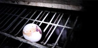 Contrabando de huevos: advierten riesgos sanitarios por aumento de ingreso ilegal desde Bolivia