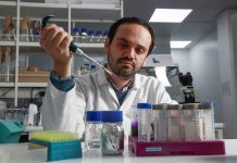 El hallazgo chileno que podría cambiar la forma de tratar enfermedades como el cáncer