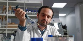 El hallazgo chileno que podría cambiar la forma de tratar enfermedades como el cáncer