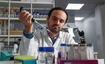 El hallazgo chileno que podría cambiar la forma de tratar enfermedades como el cáncer