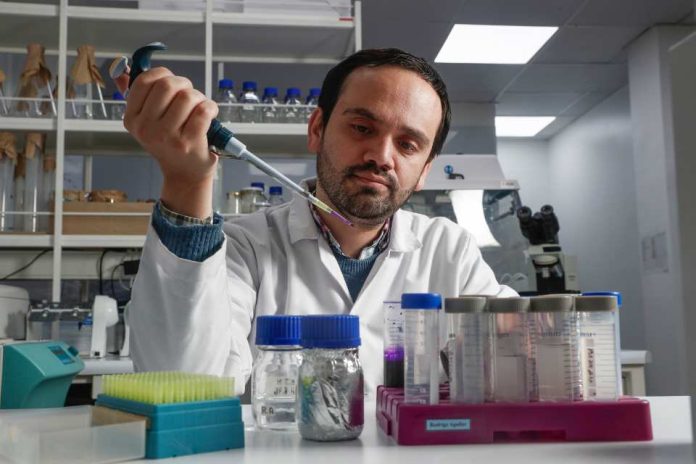 El hallazgo chileno que podría cambiar la forma de tratar enfermedades como el cáncer