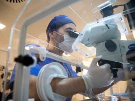 Embriología: ciencia aplicada a la reproducción asistida