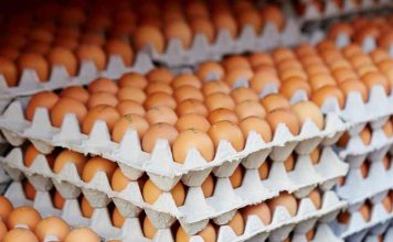 Especialista advierte sobre riesgos de adquirir productos alimenticios fuera del comercio formal
