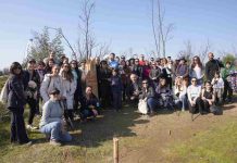 Eurofarma Chile impulsa reforestación en el Jardín Botánico de Viña del Mar