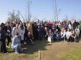 Eurofarma Chile impulsa reforestación en el Jardín Botánico de Viña del Mar