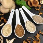 Hongos adaptógenos: ¿Medicina natural o una moda con falta de evidencia?