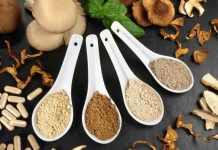 Hongos adaptógenos: ¿Medicina natural o una moda con falta de evidencia?