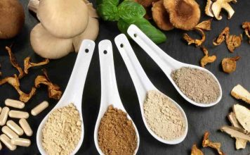 Hongos adaptógenos: ¿Medicina natural o una moda con falta de evidencia?