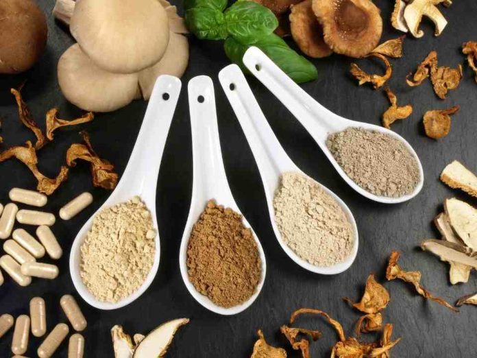 Hongos adaptógenos: ¿Medicina natural o una moda con falta de evidencia?