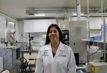 Investigadora USM desarrolla alimento para la tercera edad que reduciría riesgos de enfermedades oculares y articulares