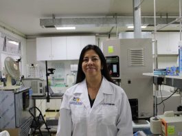 Investigadora USM desarrolla alimento para la tercera edad que reduciría riesgos de enfermedades oculares y articulares