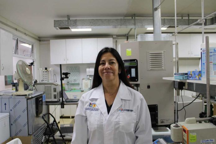 Investigadora USM desarrolla alimento para la tercera edad que reduciría riesgos de enfermedades oculares y articulares