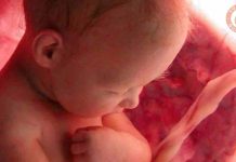 Julio: Mes de la concientización sobre la sangre del cordón umbilical 