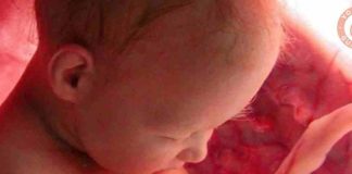 Julio: Mes de la concientización sobre la sangre del cordón umbilical 