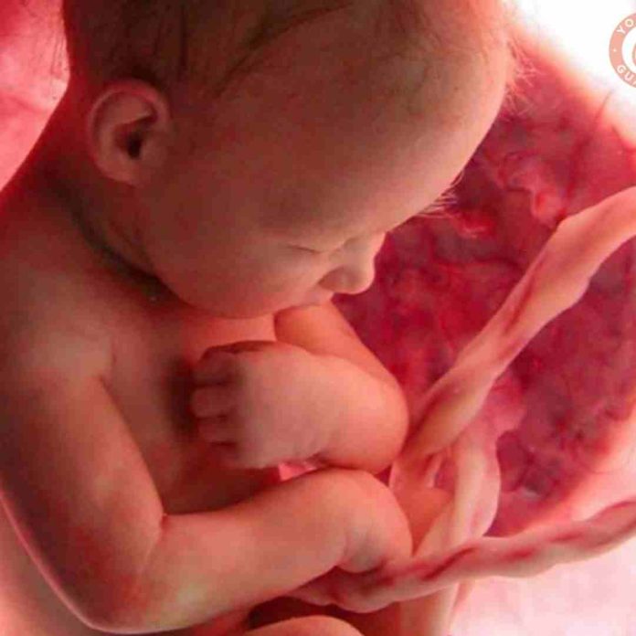Julio: Mes de la concientización sobre la sangre del cordón umbilical 