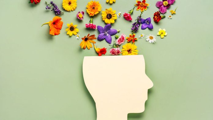 La salud mental en educación no admite más postergaciones