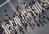 Más del 50% de los trabajadores chilenos realiza tareas con alto riesgo de automatización Chile lidera brecha salarial según habilidades cognitivas en la OCDE