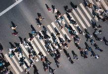 Más del 50% de los trabajadores chilenos realiza tareas con alto riesgo de automatización Chile lidera brecha salarial según habilidades cognitivas en la OCDE