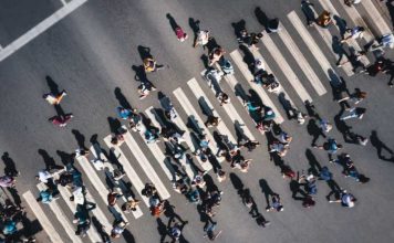 Más del 50% de los trabajadores chilenos realiza tareas con alto riesgo de automatización Chile lidera brecha salarial según habilidades cognitivas en la OCDE