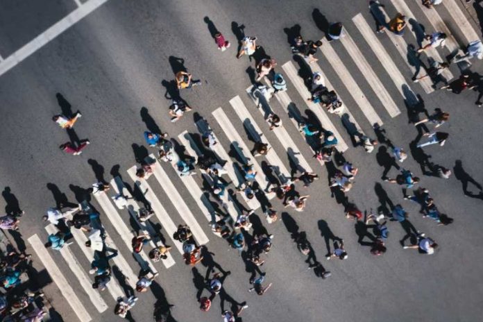 Más del 50% de los trabajadores chilenos realiza tareas con alto riesgo de automatización Chile lidera brecha salarial según habilidades cognitivas en la OCDE