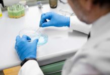 Microbioma: ¿Qué es y cuál es su importancia en nuestra salud?