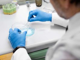 Microbioma: ¿Qué es y cuál es su importancia en nuestra salud?