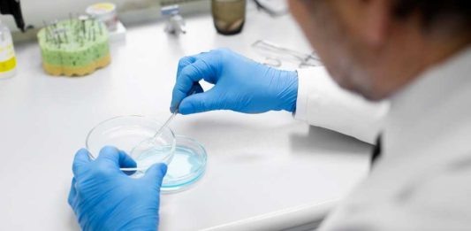 Microbioma: ¿Qué es y cuál es su importancia en nuestra salud?