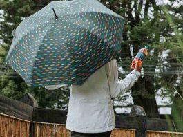 Microbiota en acción: cómo fortalecer las defensas en invierno desde el aparato digestivo