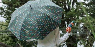 Microbiota en acción: cómo fortalecer las defensas en invierno desde el aparato digestivo