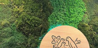 Microbiota intestinal: una aliada silenciosa para la salud pública