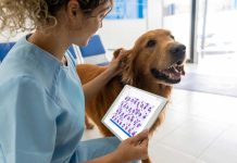 Prevención de las zoonosis: lo que debes saber para cuidar tu salud y la de los animales Más de la mitad de las enfermedades infecciosas en humanos son de origen zoonótico; por eso, se requiere de un manejo especializado y basado en conocimiento científico para su control. Santiago, Chile, julio 2025 – El vínculo entre humanos y animales resulta beneficioso para la vida, pero también conlleva ciertos riesgos que la ciencia ha debido manejar. Uno de ellos es la prevención de las zoonosis, que son aquellas enfermedades infecciosas que se transmiten entre animales y humanos, ya sea por contacto directo con animales infectados, a través de alimentos contaminados, o por vectores como mosquitos y garrapatas. Se calcula que, de los 1.415 patógenos humanos conocidos, el 61% son zoonóticos, según cifras de la Organización Panamericana de Salud, OPS (1). La prevención de las zoonosis ha sido un trabajo colaborativo de largo aliento. Uno de los logros más importantes es haber reducido drásticamente la incidencia de la rabia humana transmitida por perros. En efecto, si en 1983 se contabilizaban 300 casos en el continente americano, en 2020 se registraron solo 2, de acuerdo con la OPS (2). No obstante, hay otras zoonosis que preocupan, como por ejemplo la gripe aviar, y que requieren un manejo especializado y basado en conocimiento científico. Actualmente la prevención de la zoonosis es abordada a través de 3 focos principales: la aplicación del criterio de una sola salud, innovación en salud animal, y educación y apoyo a tutores y productores. “Desde Zoetis abordamos la prevención de las zoonosis bajo el prisma #OneHealth, es decir, una sola salud, entendiendo que la salud humana y la salud animal están estrechamente ligadas”, dice Mariana Cestau, gerente general de Zoetis. “Con esta mirada, brindamos soluciones diseñadas para ser efectivas y seguras, garantizando que los animales permanezcan sanos y, por ende, reduciendo el riesgo de transmisión a los humanos”, agrega. En tanto, la investigación y desarrollo de soluciones innovadoras, basadas en conocimiento científico actualizado, ha sido clave para enfrentar diferentes zoonosis. “Como líderes en salud animal, estamos constantemente explorando nuevas tecnologías y metodologías para mejorar la prevención, diagnóstico y tratamiento de enfermedades zoonóticas”, indica Mariana Cestau. Actualmente, Zoetis está utilizando herramientas de inteligencia artificial para manejar grandes cantidades de datos, incrementar la calidad de los datos, reducir esfuerzos de validación manual y mejorar la revisión de información por parte de personal clínico y científico. Así también, la educación y la concienciación son fundamentales para identificar los riesgos de zoonosis y tomar medidas preventivas. “Es importante contar con redes de apoyo que permitan el intercambio de conocimiento actualizado y el acceso a soluciones innovadoras. Por eso, colaboramos con veterinarios, productores y tutores de mascotas, mediante diferentes instancias, de manera de unirnos hacia un fin común, que es cuidarnos”, dice Mariana Cestau. El 6 de julio es el Día Mundial de las Zoonosis, en recuerdo de la exitosa aplicación de la primera vacuna antirrábica, creada en 1885 por el científico Louis Pasteur, y que logró salvar la vida de un niño de 9 años que había sido mordido por un perro infectado. Es una fecha que invita a tomar conciencia sobre las zoonosis y utilizar las herramientas disponibles para la prevención, con el apoyo de especialistas y líderes en la materia. Acerca de Zoetis Como empresa líder mundial en salud animal, Zoetis está impulsada por un propósito singular: nutrir nuestro mundo y a la humanidad avanzando en el cuidado de los animales. Tras más de 70 años innovando formas de predecir, prevenir, detectar y tratar enfermedades animales, Zoetis sigue estando al lado de quienes crían y cuidan animales en todo el mundo, desde veterinarios y propietarios de mascotas hasta ganaderos. La cartera líder y la cartera de medicamentos, vacunas, diagnósticos y tecnologías de la empresa marcan la diferencia en más de 100 países. Zoetis, una empresa incluida en la lista Fortune 500, generó unos ingresos de 9.300 millones de dólares en 2024 con aproximadamente 13.800 empleados. Para más información, visita www.zoetis.com.