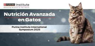 Purina Institute International Symposium 2025- Advance Nutrition in Cats