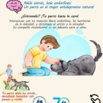 Tener un perro tiene beneficios para el corazón, la mente y el alma de las personas