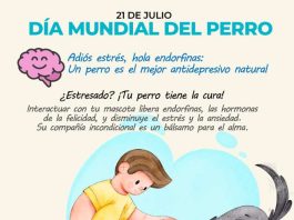 Tener un perro tiene beneficios para el corazón, la mente y el alma de las personas