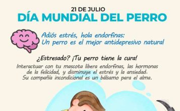 Tener un perro tiene beneficios para el corazón, la mente y el alma de las personas