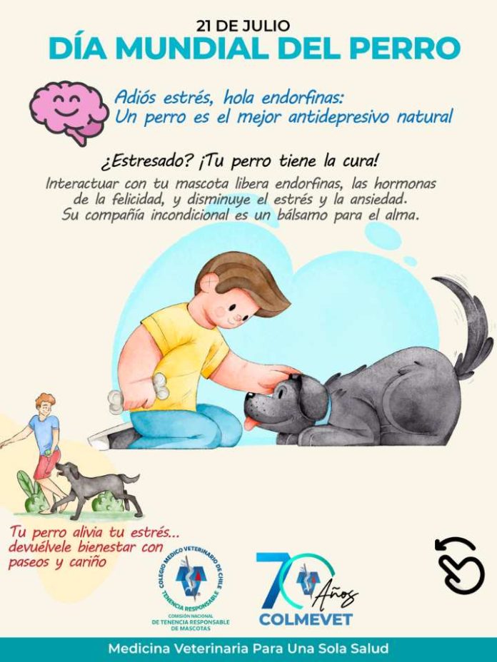 Tener un perro tiene beneficios para el corazón, la mente y el alma de las personas