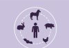 Zoonosis bajo la lupa: las enfermedades que conectan la salud humana y animal