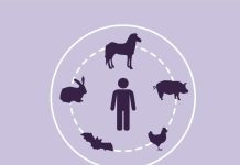 Zoonosis bajo la lupa: las enfermedades que conectan la salud humana y animal
