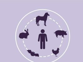 Zoonosis bajo la lupa: las enfermedades que conectan la salud humana y animal