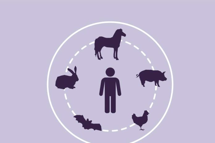 Zoonosis bajo la lupa: las enfermedades que conectan la salud humana y animal