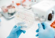 Falsas alergias a antibióticos: riesgo para la salud pública y aumento de la resistencia antimicrobiana