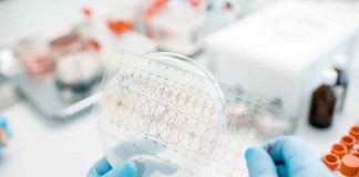 Falsas alergias a antibióticos: riesgo para la salud pública y aumento de la resistencia antimicrobiana