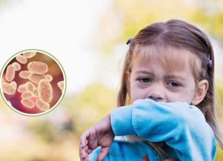 Alerta por coqueluche ¿Qué es, a quiénes afecta y cómo prevenir esta enfermedad que puede ser mortal