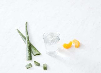 Aloe vera: conoce sus beneficios y cómo hacer una elección segura