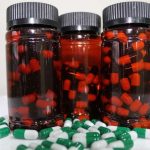 CREAS y emprendedores de Aysén trabajan suplemento único a partir de hojas de maqui