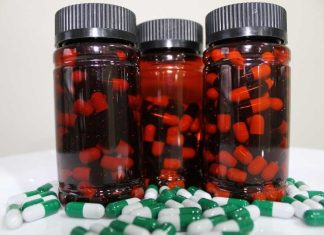 CREAS y emprendedores de Aysén trabajan suplemento único a partir de hojas de maqui