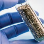 Chía y control del colesterol: un aliado natural en tiempos de exigencia cardíaca
