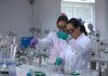 Estudios confirman beneficios del litio para el alzheimer: un impacto global con raíz en Chile