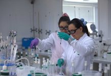 Estudios confirman beneficios del litio para el alzheimer: un impacto global con raíz en Chile